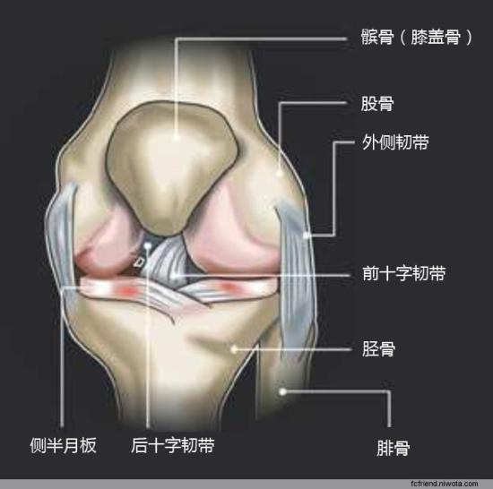 预防性功能障碍