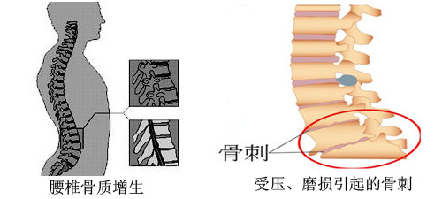 少精症的症状