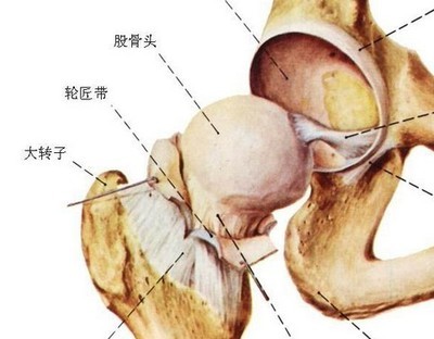 男科是什么疾病