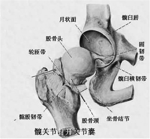 男科如何进行早期诊断